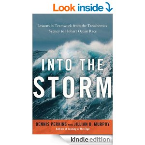 Book Cover - Into the Storm by Dennis  Perkins